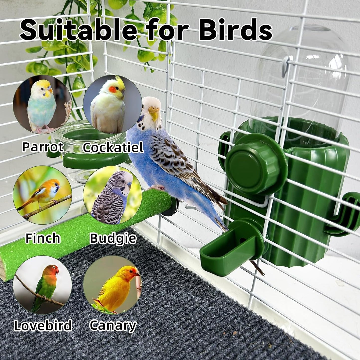 3Pcs No Mess Bird Water Dispenser Bird Cage Feeder Accessories for Parakeet | Plastic,Automatic,Installation,Washable,Detachable,With Bird Food Feeder Perch Stand,For Lovebirds Cockatiel Budgie