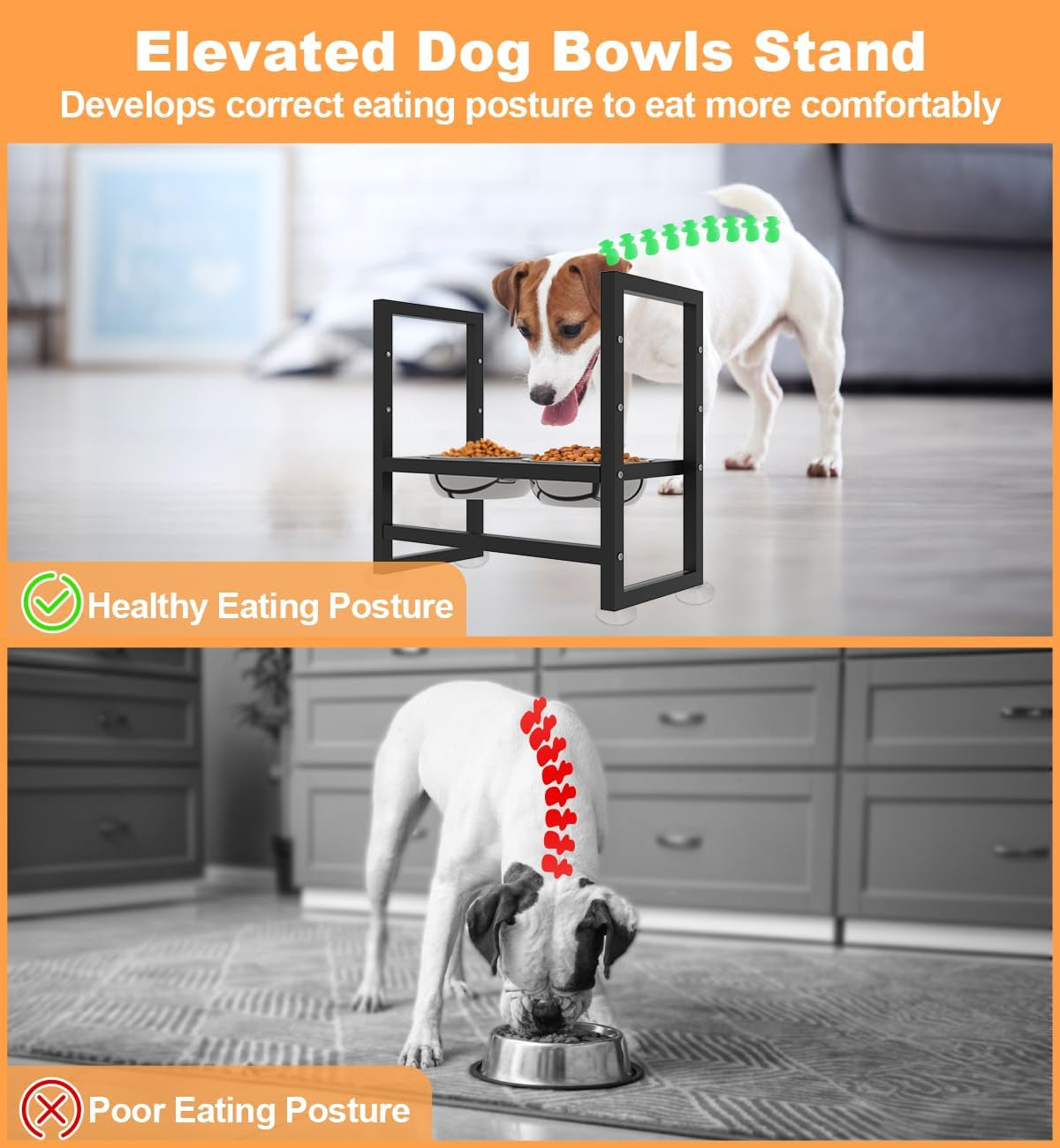 Elevated Dog Bowls Stand with 2 Stainless Steel Bowls, Black | for Large Medium Small Dogs, Adjustable Raised Dog Bowl with Non-Slip Plastic Sucker for Pet