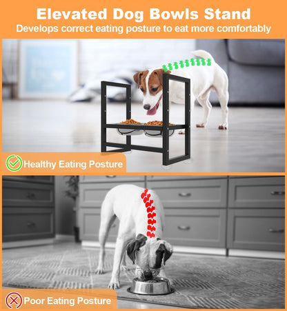 Elevated Dog Bowls Stand with 2 Stainless Steel Bowls, Black | for Large Medium Small Dogs, Adjustable Raised Dog Bowl with Non-Slip Plastic Sucker for Pet