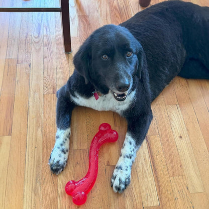 Play Strong Rubber Bones for Dogs, Durable S-Shaped Treat To,For Aggressive Chewers, Large Dogs & Puppies up to 90Lbs , 12In