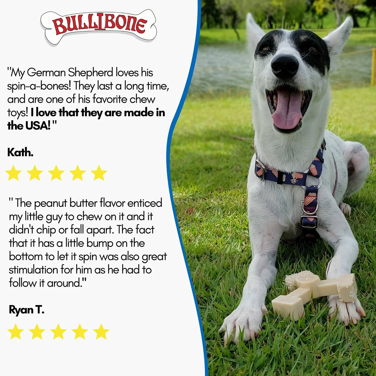Spin-A-Bone Dog Chew Toy for Dental Health with Bacon Flavor