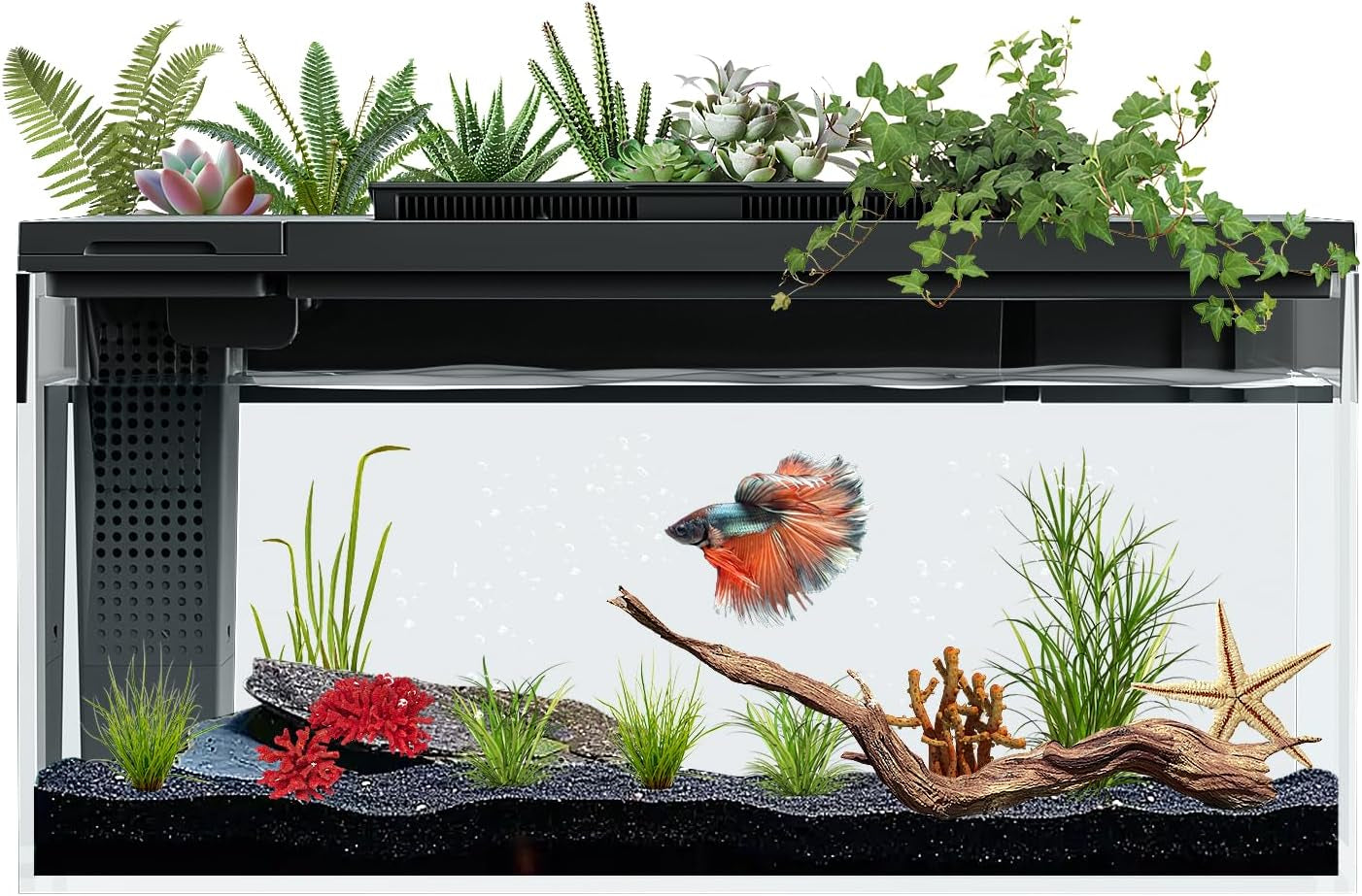3.7 Gallon Betta Fish Tank Self Cleaning,Smart Aquarium Aquarium Kit with Filter Light Water Pump (Black)
