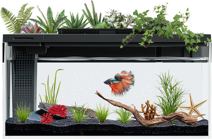 3.7 Gallon Betta Fish Tank Self Cleaning,Smart Aquarium Aquarium Kit with Filter Light Water Pump (Black)