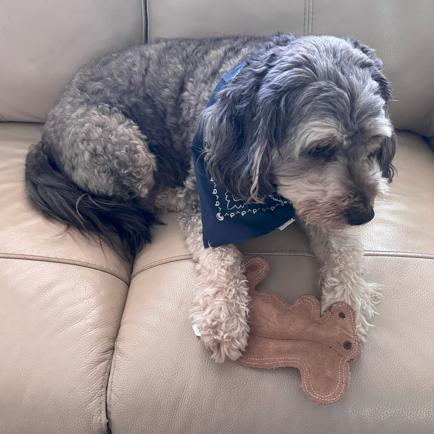 Dura-Fused Squirrel Dog Toy, Real Leather & Jute Fabric Toy for Moderate Chewers, Small & Medium Dogs, 8In