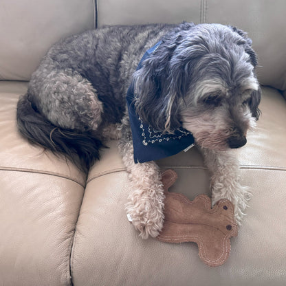Dura-Fused Squirrel Dog Toy, Real Leather & Jute Fabric Toy for Moderate Chewers, Small & Medium Dogs, 8In