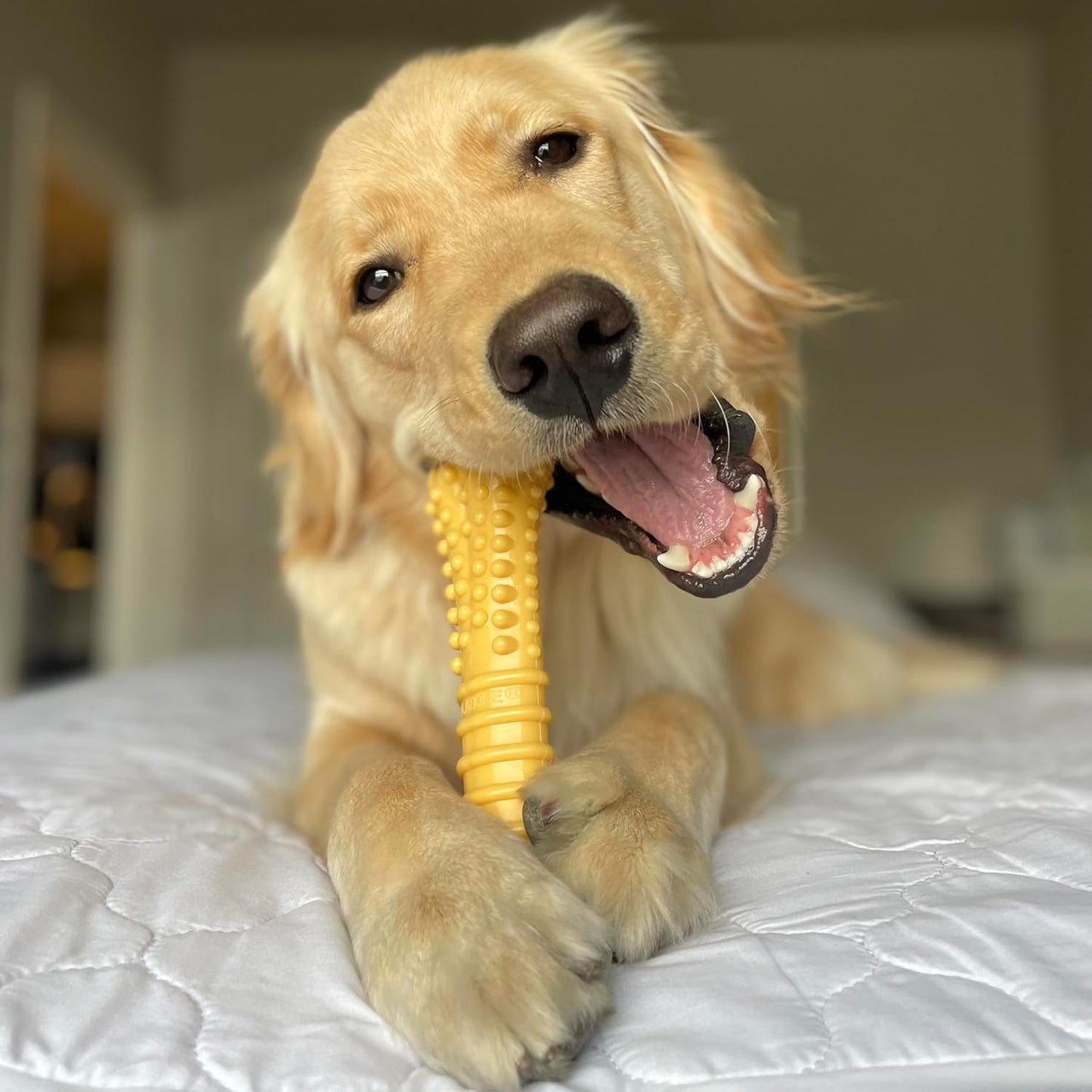 Power Chew Customer Favorites Dog Chew Toys, 3 Count, Large | Flavor Medley, Peanut Butter, and Beef Flavor, Durable Dog Toys for Aggressive Chewers, for Large Breeds up to 50 Lbs