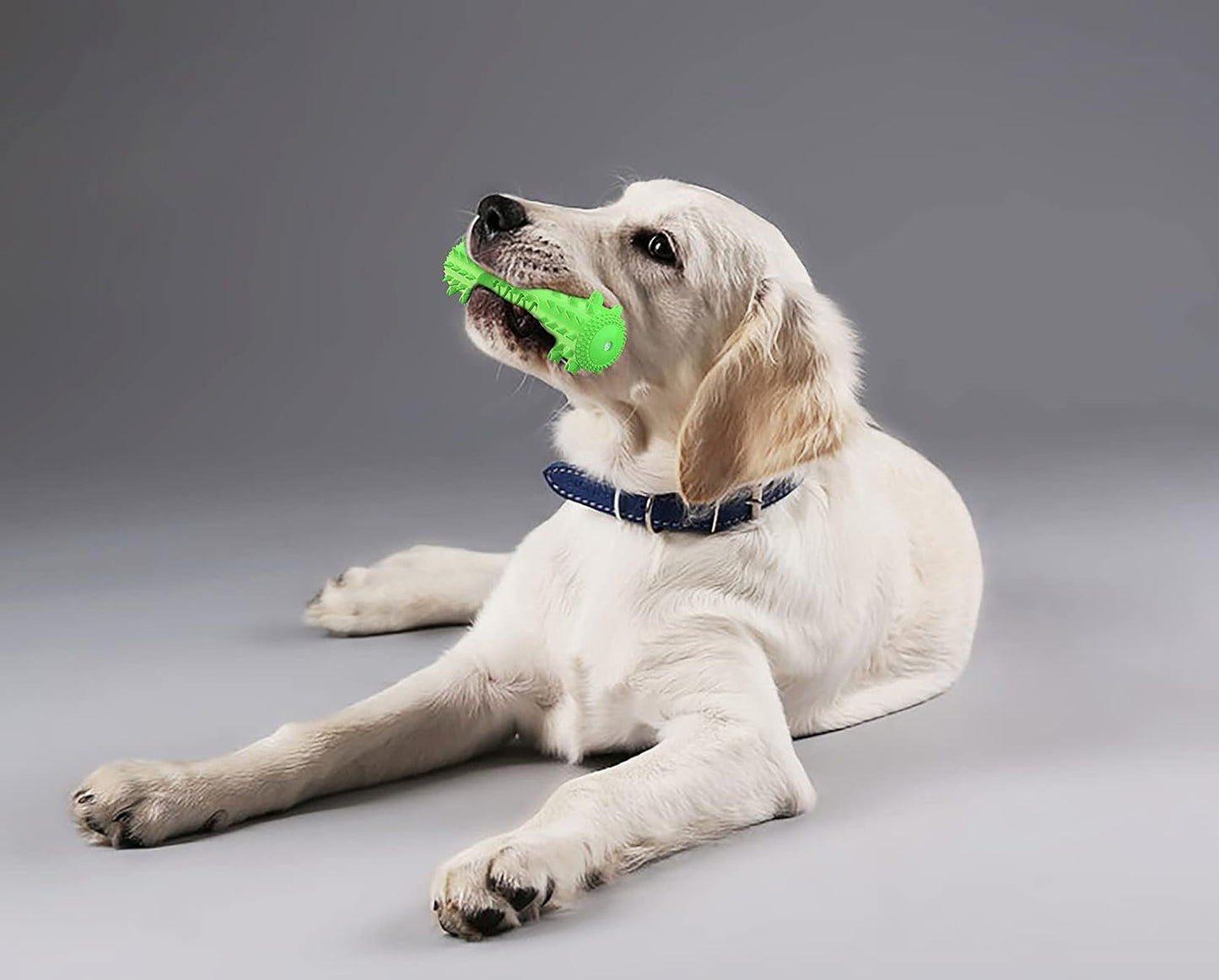 Puppy Chew Toy for Teething, Dog Toys for Aggressive Chewers, Dog Squeaky Interactive Toothbrush Toys Indestructible Tough Durable for Small Medium Large Breed