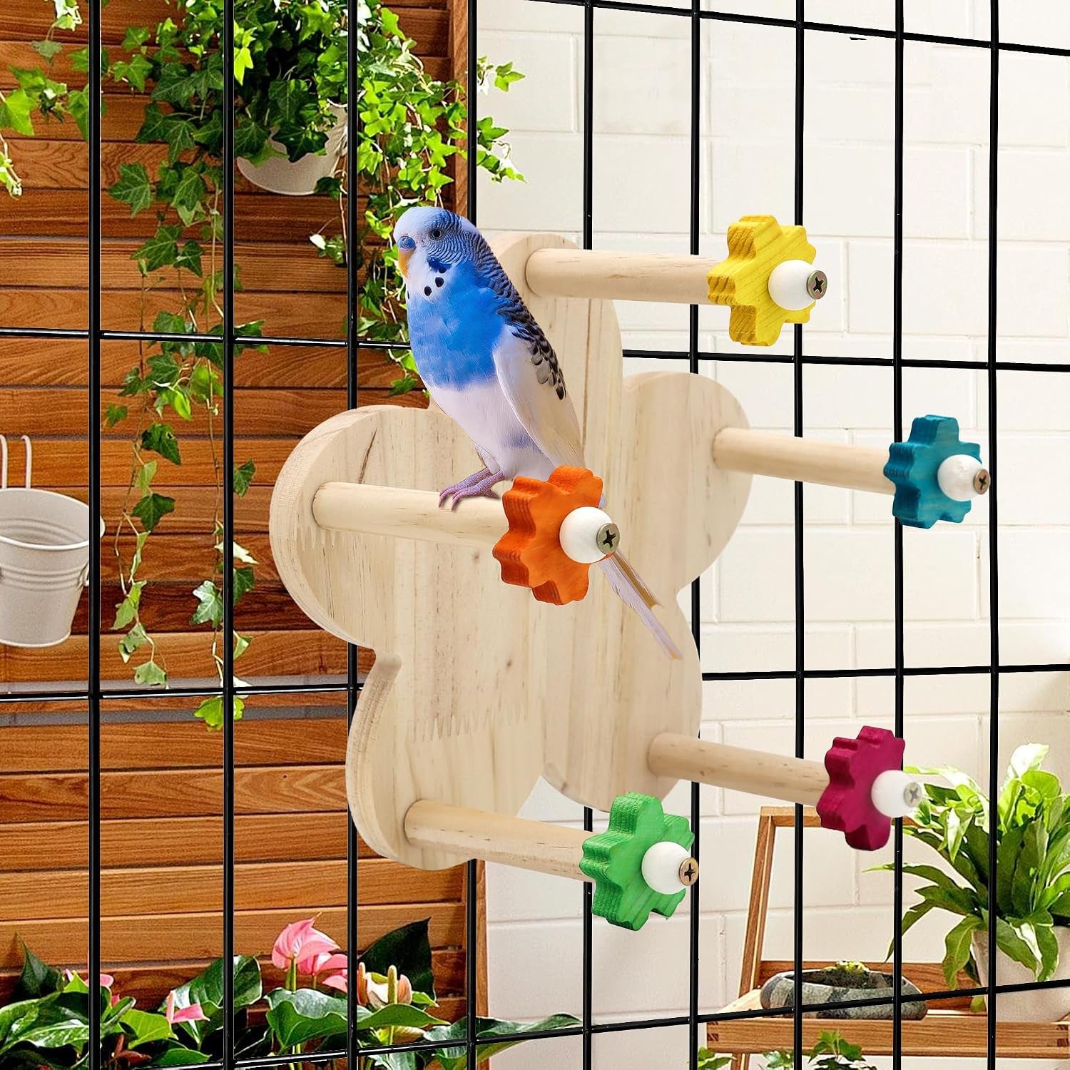 Bird Rotating Perch Toy, Wooden Ferris Wheel Parrot Toy | 5 Perches, Durable, for Parakeet, Cockatiel, Budgerigar, Conures, Lovebirds, Bird Cage Accessories