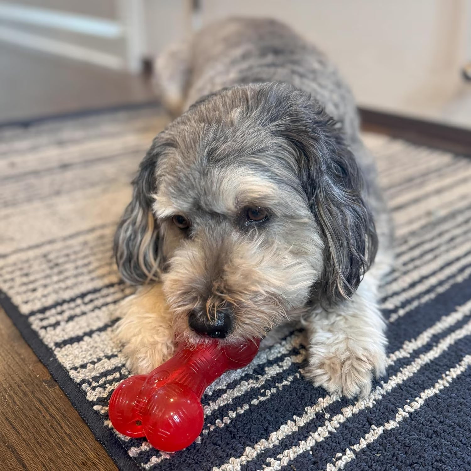 Play Rubber Bones for Dogs – Durable TPR Chew Toy with Treat Hole for Aggressive Chewers, Medium & Large Dogs and Puppies, 6.5 Inch