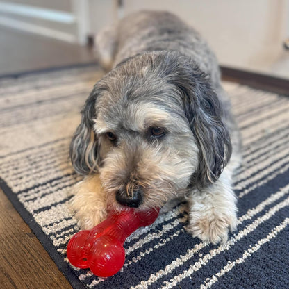Play Rubber Bones for Dogs – Durable TPR Chew Toy with Treat Hole for Aggressive Chewers, Medium & Large Dogs and Puppies, 6.5 Inch