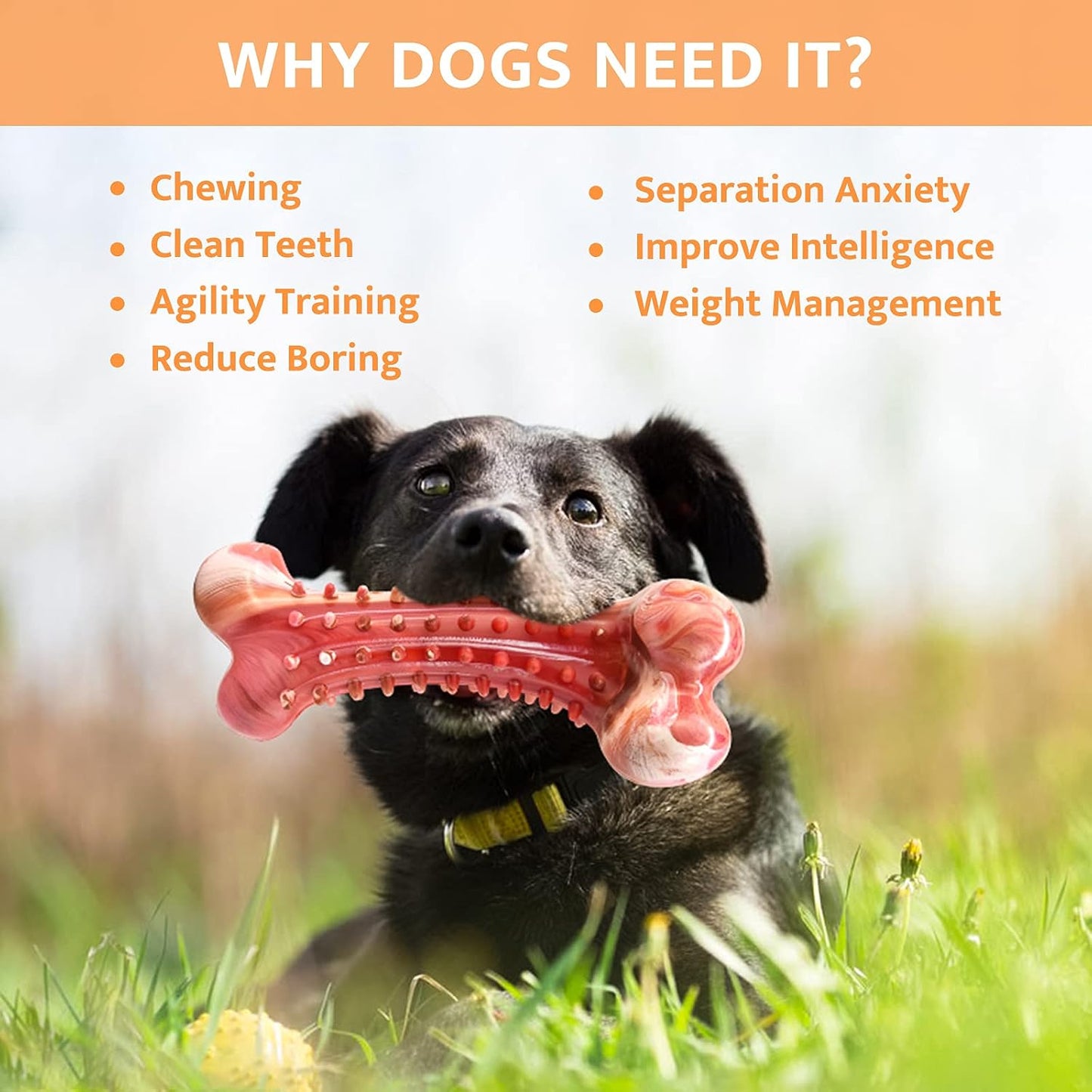 Dog Chew Toys for Aggressive Chewers, Tough Durable Non-Toxic Natural Rubber Dog Bone Toy for Medium Large Dogs, Interactive Dog Toys Teeth Cleaning Puppy Teething Toy, Beef Flavour