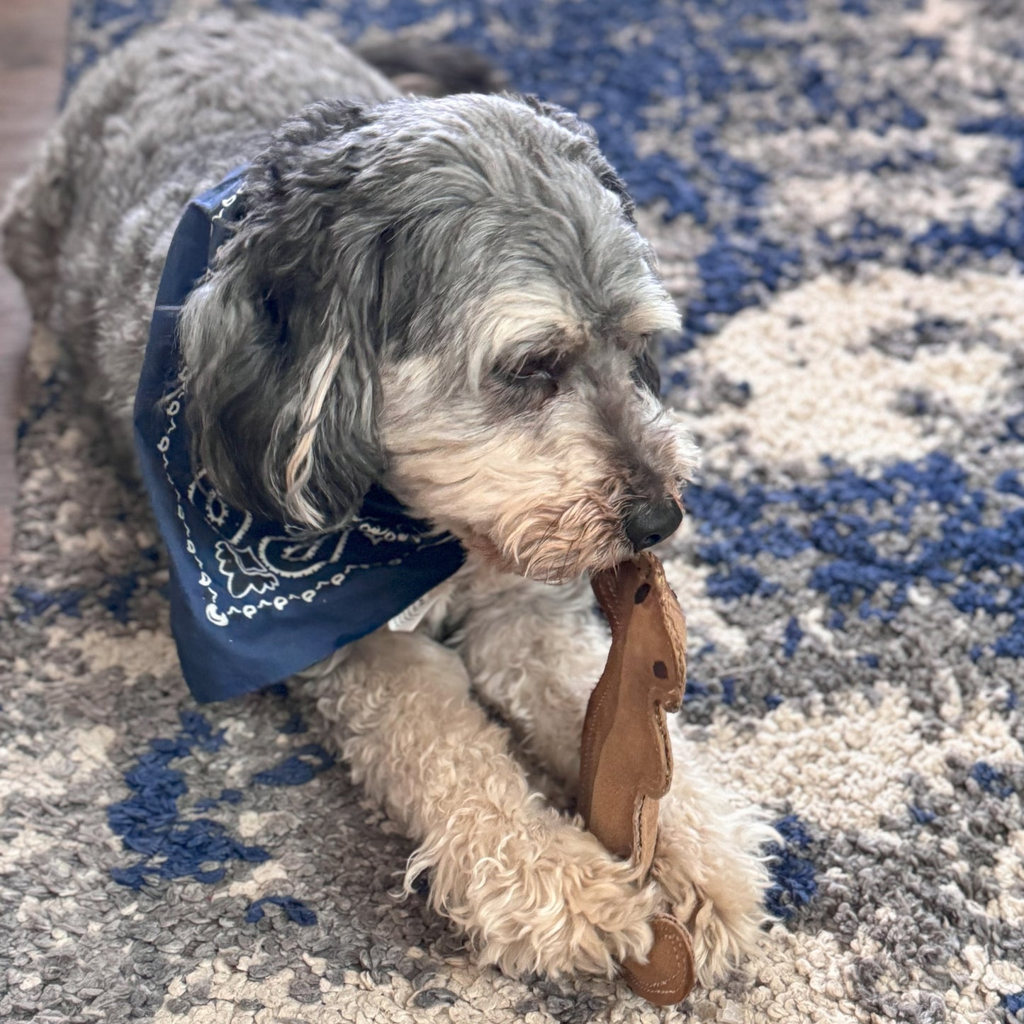 Dura-Fused Squirrel Dog Toy, Real Leather & Jute Fabric Toy for Moderate Chewers, Small & Medium Dogs, 8In
