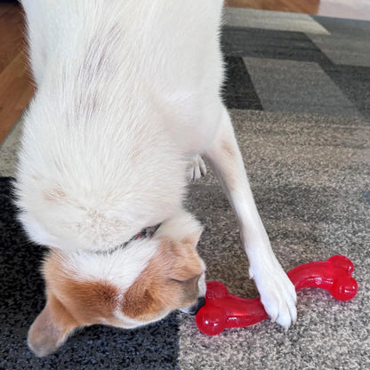 Play Strong Rubber Bones for Dogs, Durable S-Shaped Treat To,For Aggressive Chewers, Large Dogs & Puppies up to 90Lbs , 12In