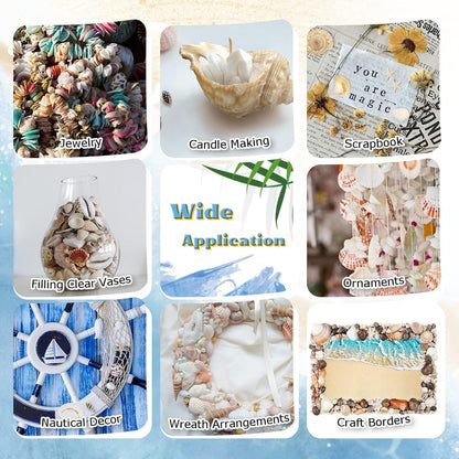 200+Pcs Sea Shells Bulk Mixed Ocean Beach Seashells, Various Sizes Natural Seashells Starfish for Fish Tank, Home Decorations, Beach Theme Party, Candle Making, Wedding Decor, DIY Crafts