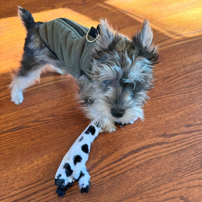 Skinneeez Crinkle Dog Toy, Stuffing-Free Cow Toy with Squeaker for Small Dogs and Puppies,For Moderate Chewers 14 Inch