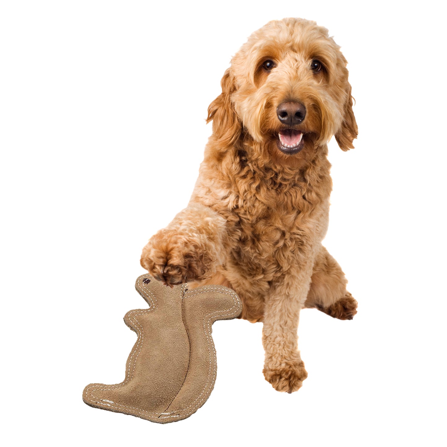 Dura-Fused Squirrel Dog Toy, Real Leather & Jute Fabric Toy for Moderate Chewers, Small & Medium Dogs, 8In