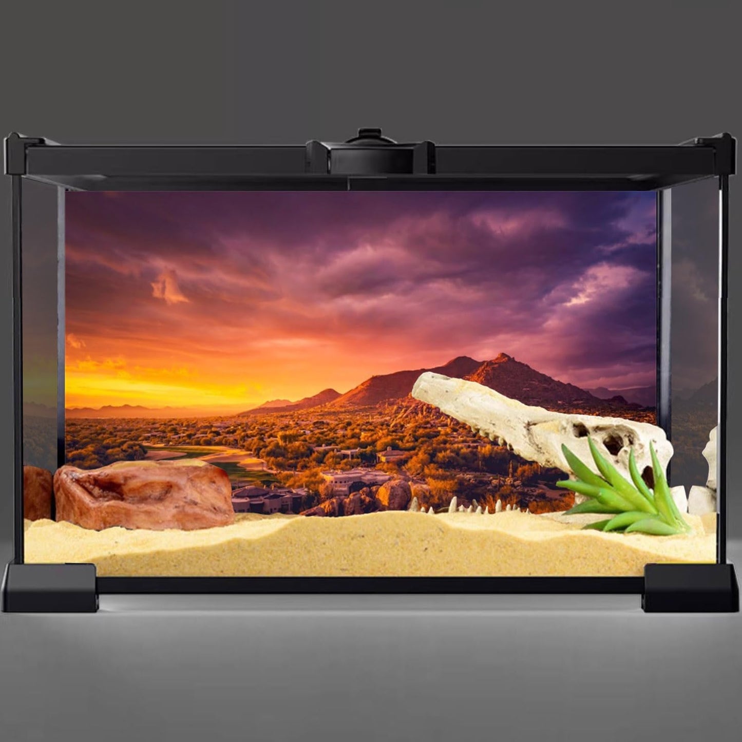 24X12 Inches Sun and Desert Terrarium Background Mountain Oasis Gobi Reptile Habitat Background Vinyl