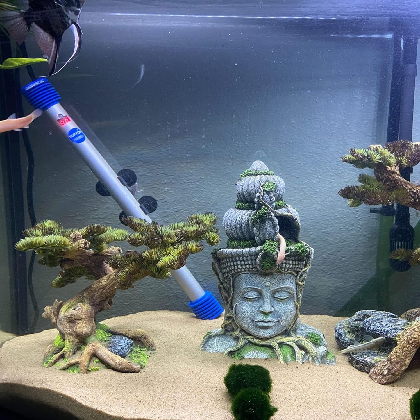 Aquarium Buddha Head Statue Decor Betta Resin Hideout Cave Fish Tank Accessories Sleep Rest Conceal Breed for Fish Shrimp Reptile Amphibian (1 PCS)