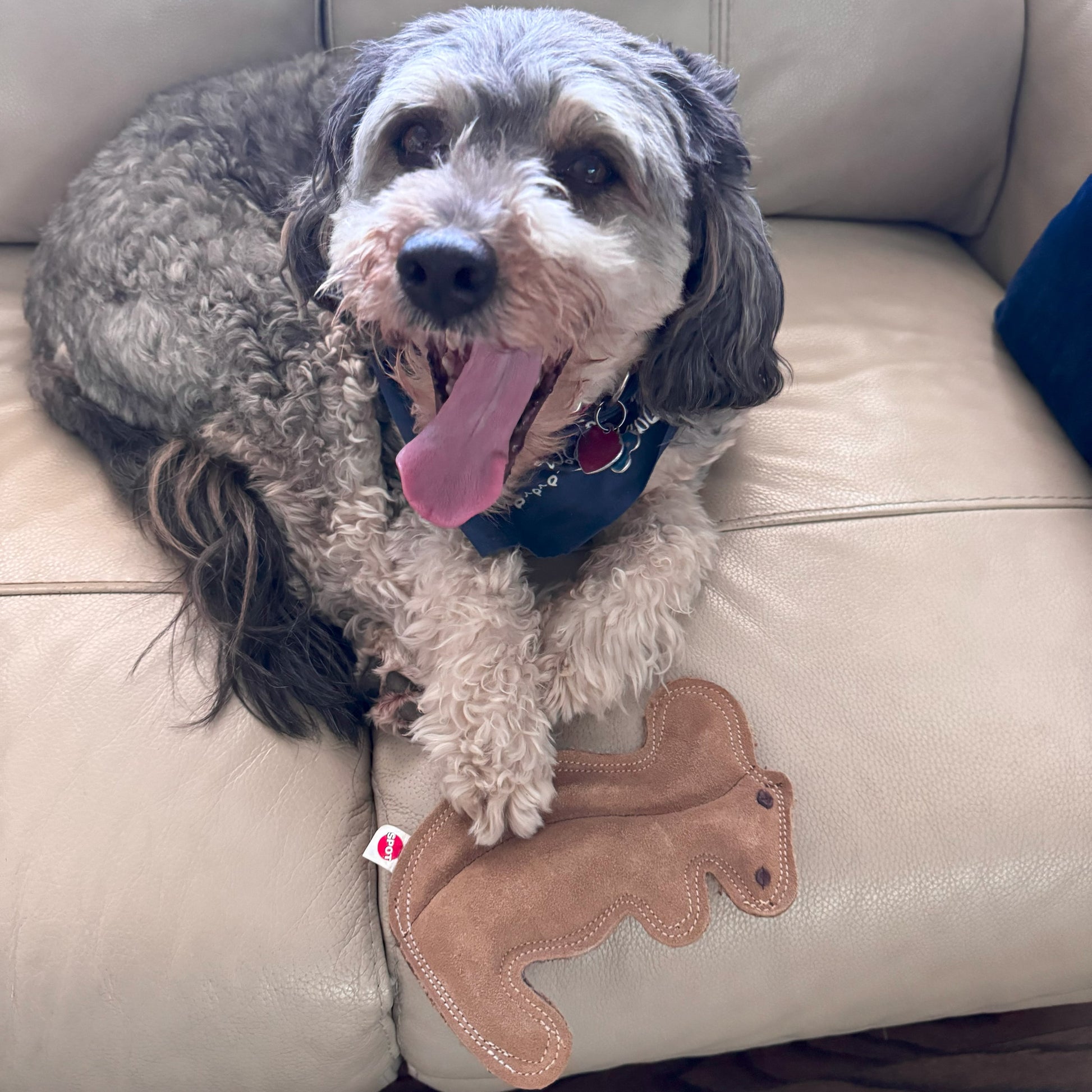 Dura-Fused Squirrel Dog Toy, Real Leather & Jute Fabric Toy for Moderate Chewers, Small & Medium Dogs, 8In