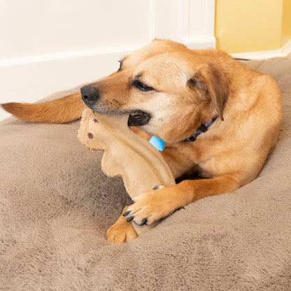 Dura-Fused Squirrel Dog Toy, Real Leather & Jute Fabric Toy for Moderate Chewers, Small & Medium Dogs, 8In