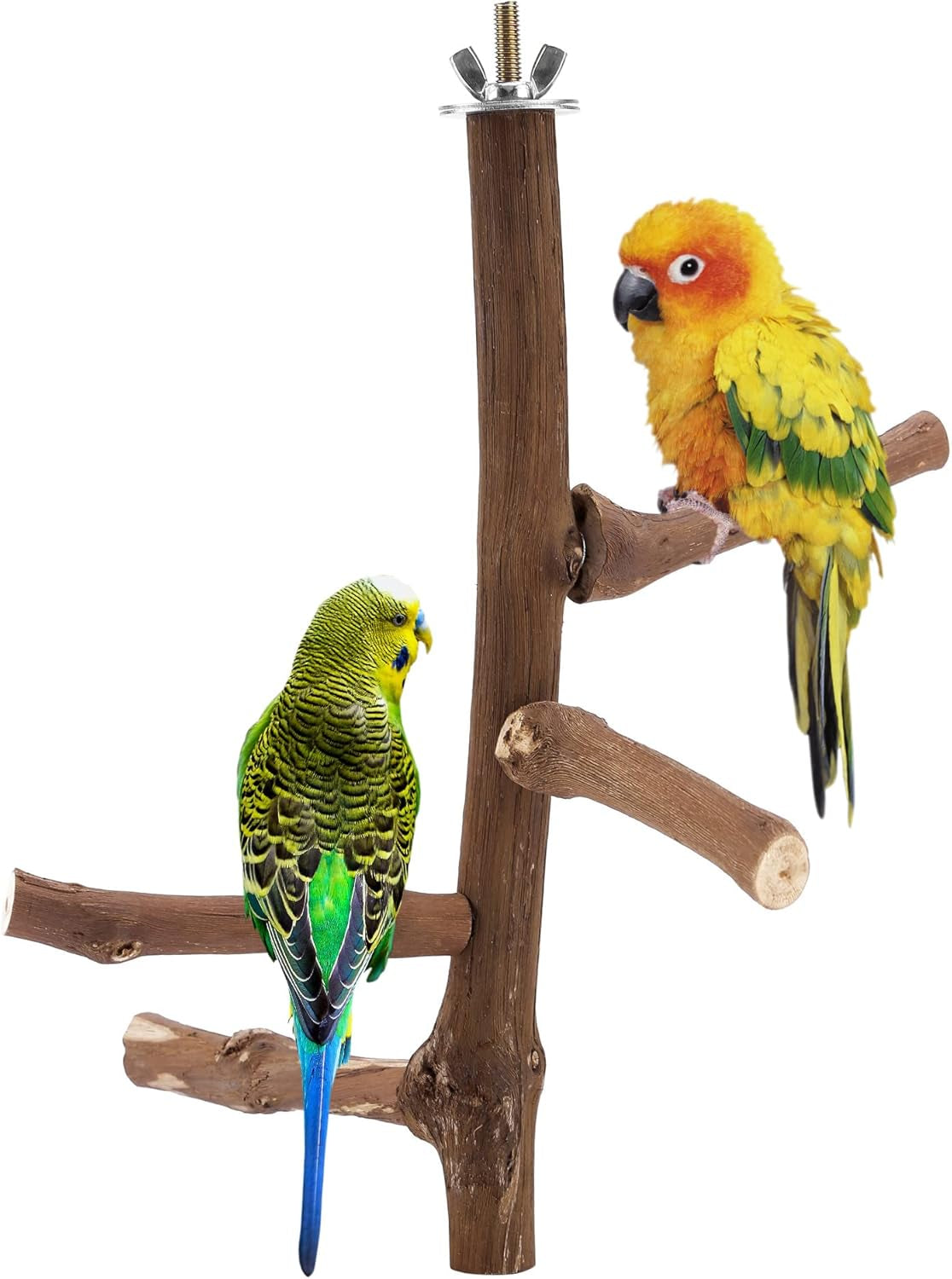 Natural Bird Perch Stand for Cage, Hanging Multi Branch Grapevine Parrot Perch Bird Cage Toys for Small Budgies Conure Parrot Parakeets Cockatiels Lovebirds