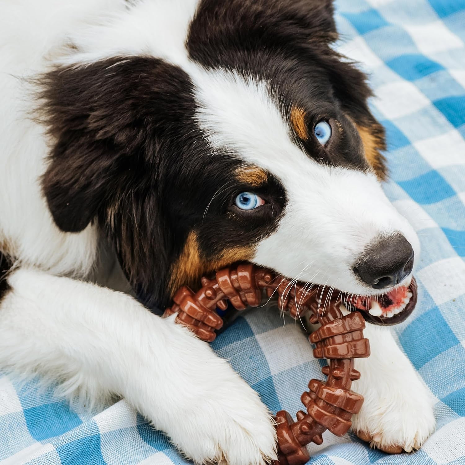 Power Chew Customer Favorites Dog Chew Toys, 3 Count, Large | Flavor Medley, Peanut Butter, and Beef Flavor, Durable Dog Toys for Aggressive Chewers, for Large Breeds up to 50 Lbs