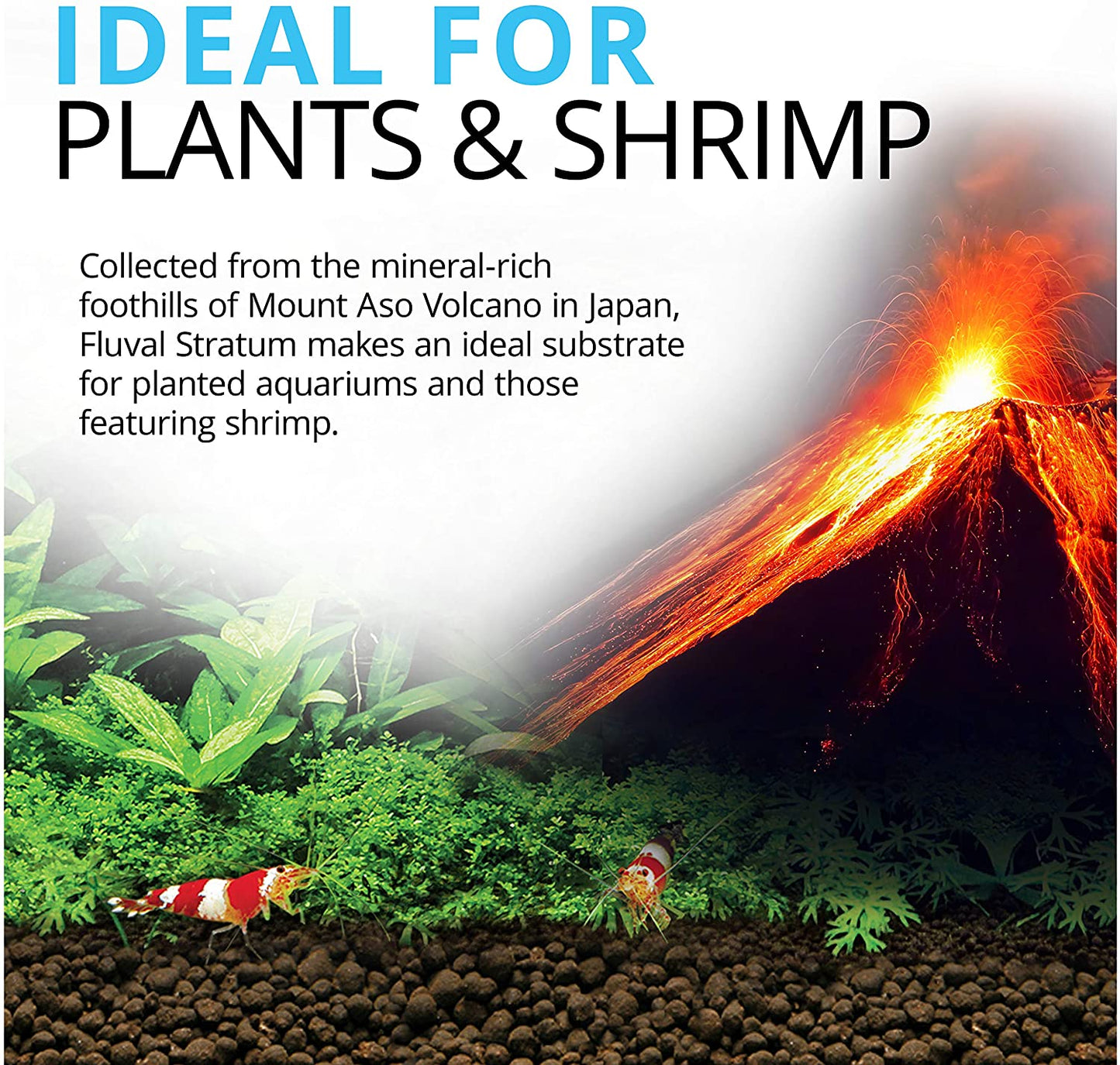 12694 Plant and Shrimp Stratum for Freshwater Fish Tanks, 8.8 Lbs. | Aquarium Substrate for Strong Plant Growth, Supports Neutral to Slightly Acidic Ph