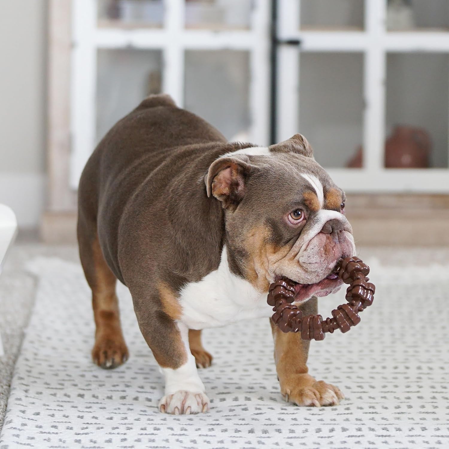 Power Chew Customer Favorites Dog Chew Toys, 3 Count, Large | Flavor Medley, Peanut Butter, and Beef Flavor, Durable Dog Toys for Aggressive Chewers, for Large Breeds up to 50 Lbs