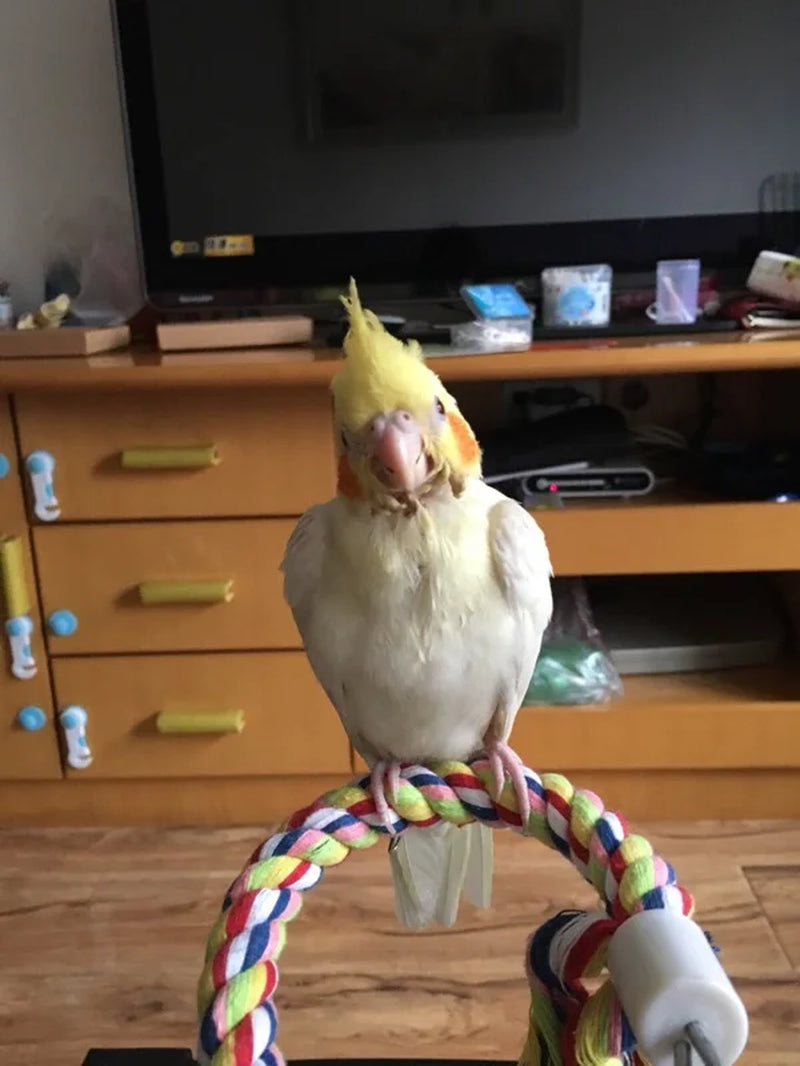 New 160Cm Long Parrot Bird Toys Pet Bird Parrot Standing Rope Bird Cage Decoration Climbing Toy Parrot Bird Cage Toys Rope Bell