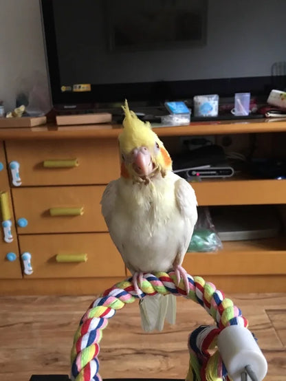 New 160Cm Long Parrot Bird Toys Pet Bird Parrot Standing Rope Bird Cage Decoration Climbing Toy Parrot Bird Cage Toys Rope Bell