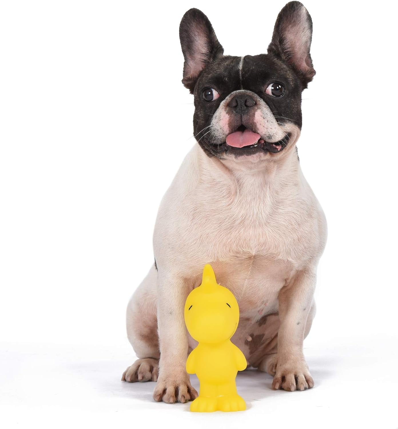 for Pets Charlie Brown Woodstock Vinyl Squeaker Dog Toy | Squeaky Dog Toy for All Dogs | Charlie Brown Plastic Dog Toys for Aggressive Chewers - Fun and Cute Yellow Dog Chew Toy, 5.5 Inch | Durable Vinyl Construction, Built-In Squeaker, Officially Licensed  Product, for Hours of Fun