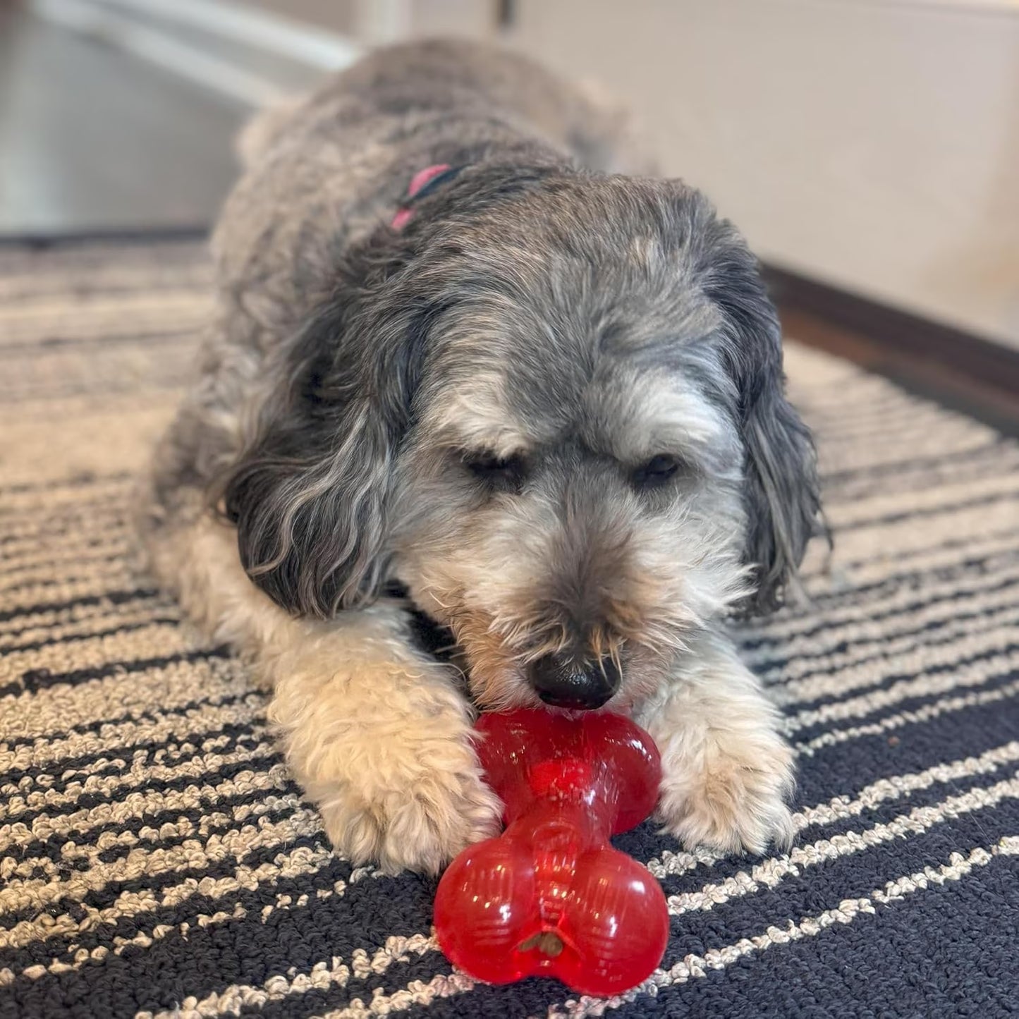 Play Rubber Bones for Dogs – Durable TPR Chew Toy with Treat Hole for Aggressive Chewers, Medium & Large Dogs and Puppies, 6.5 Inch