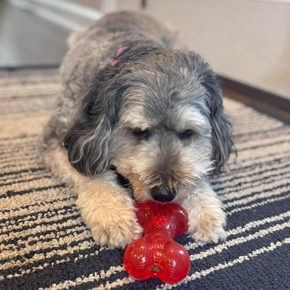 Play Rubber Bones for Dogs – Durable TPR Chew Toy with Treat Hole for Aggressive Chewers, Medium & Large Dogs and Puppies, 6.5 Inch