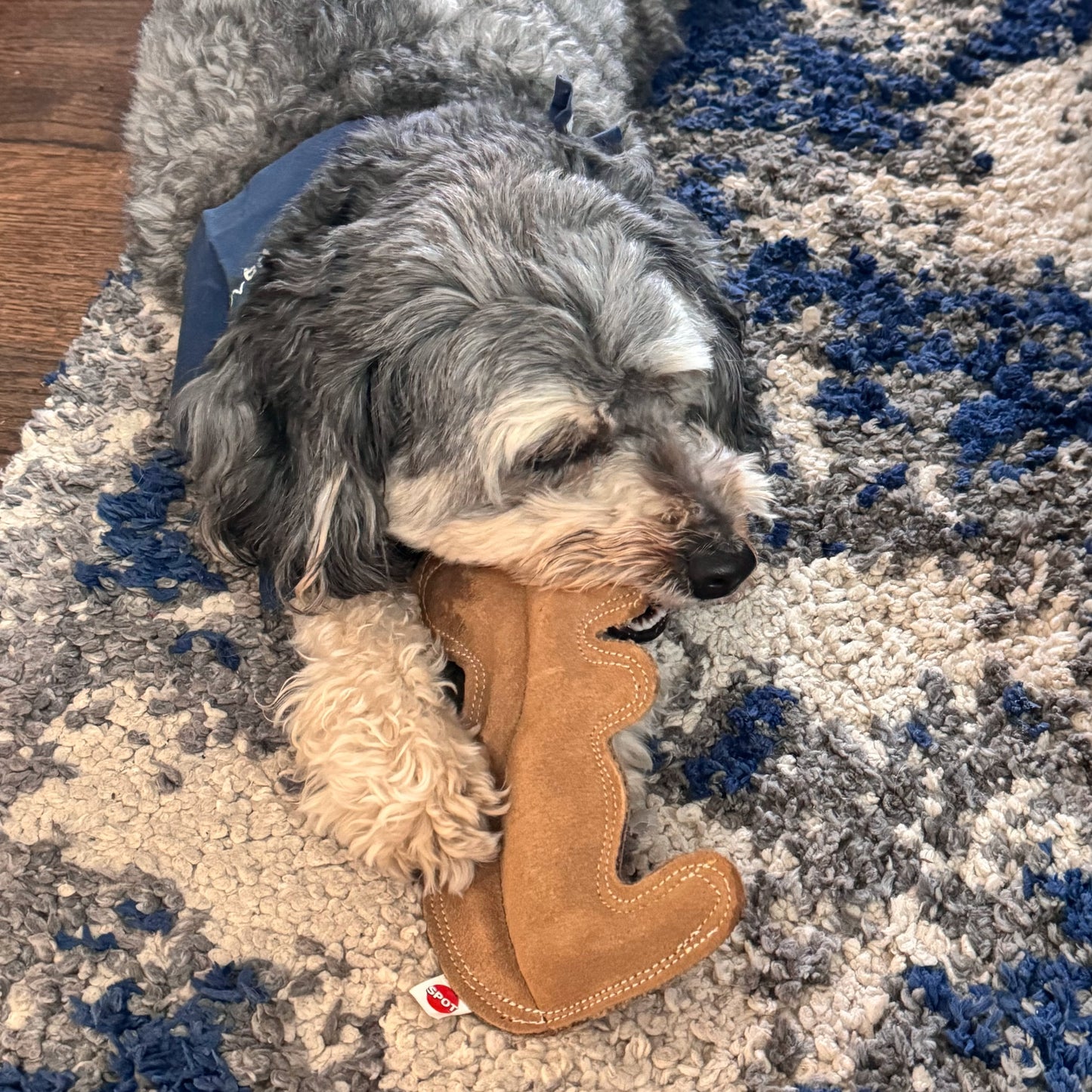 Dura-Fused Squirrel Dog Toy, Real Leather & Jute Fabric Toy for Moderate Chewers, Small & Medium Dogs, 8In