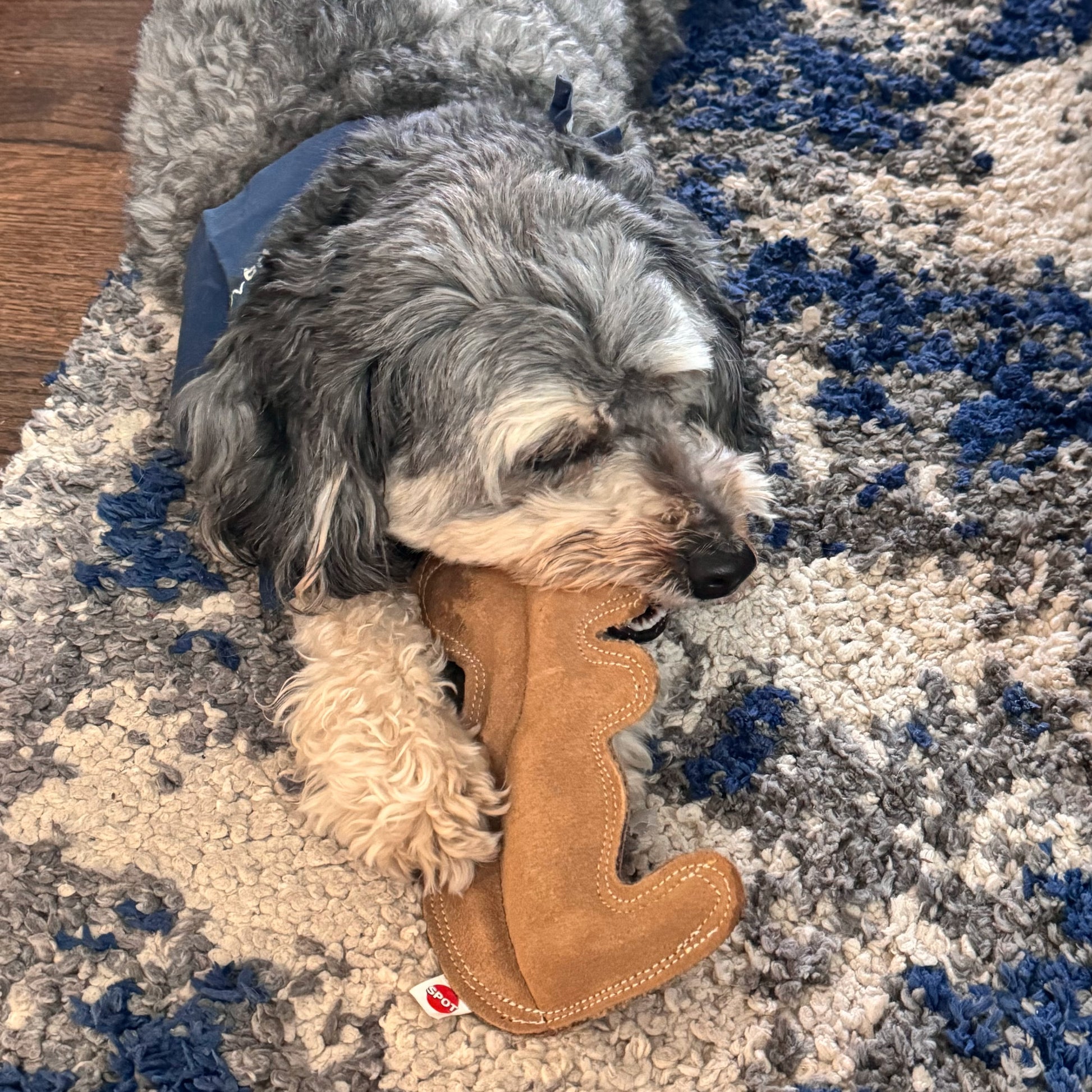 Dura-Fused Squirrel Dog Toy, Real Leather & Jute Fabric Toy for Moderate Chewers, Small & Medium Dogs, 8In