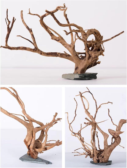 Natural Large Spider Wood Driftwood for Aquarium, Terrarium, Vivarium, and Reptile, Aquarium Décor, Reptile Tank, Aquarium Décor Wood Aquascaping Wood for Reptile Enclosure (9-14Inch)