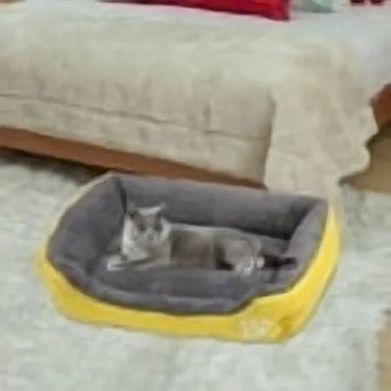 Rectangular Dog Cat Beds Mattress Washable Pads Room, Soft Winter Warm Plush Sleeping Pet Fleece Bed Mat for Small Doggy Kitten, Anti-Slip Waterproof Bottom