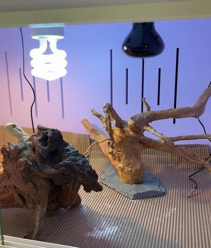 Natural Large Spider Wood Driftwood for Aquarium, Terrarium, Vivarium, and Reptile, Aquarium Décor, Reptile Tank, Aquarium Décor Wood Aquascaping Wood for Reptile Enclosure (9-14Inch)