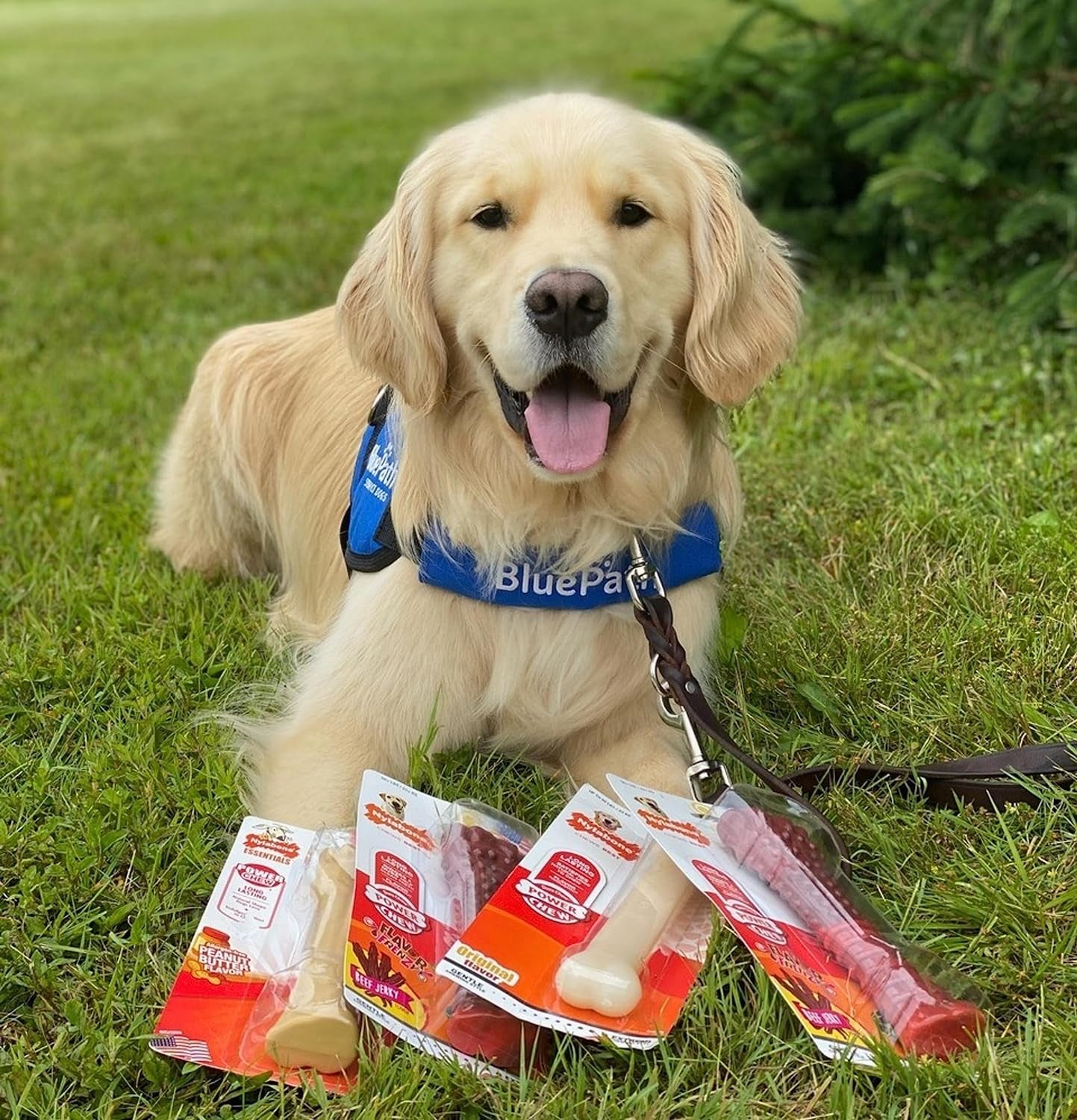 Power Chew Original Bone Dog Chew Toy, Original Flavor, Large | Durable Chew Toys, Long Lasting, Flavor Throughout, Discourages Destructive Chewing, Keeps Dogs Busy, for Dogs up to 50 Lbs