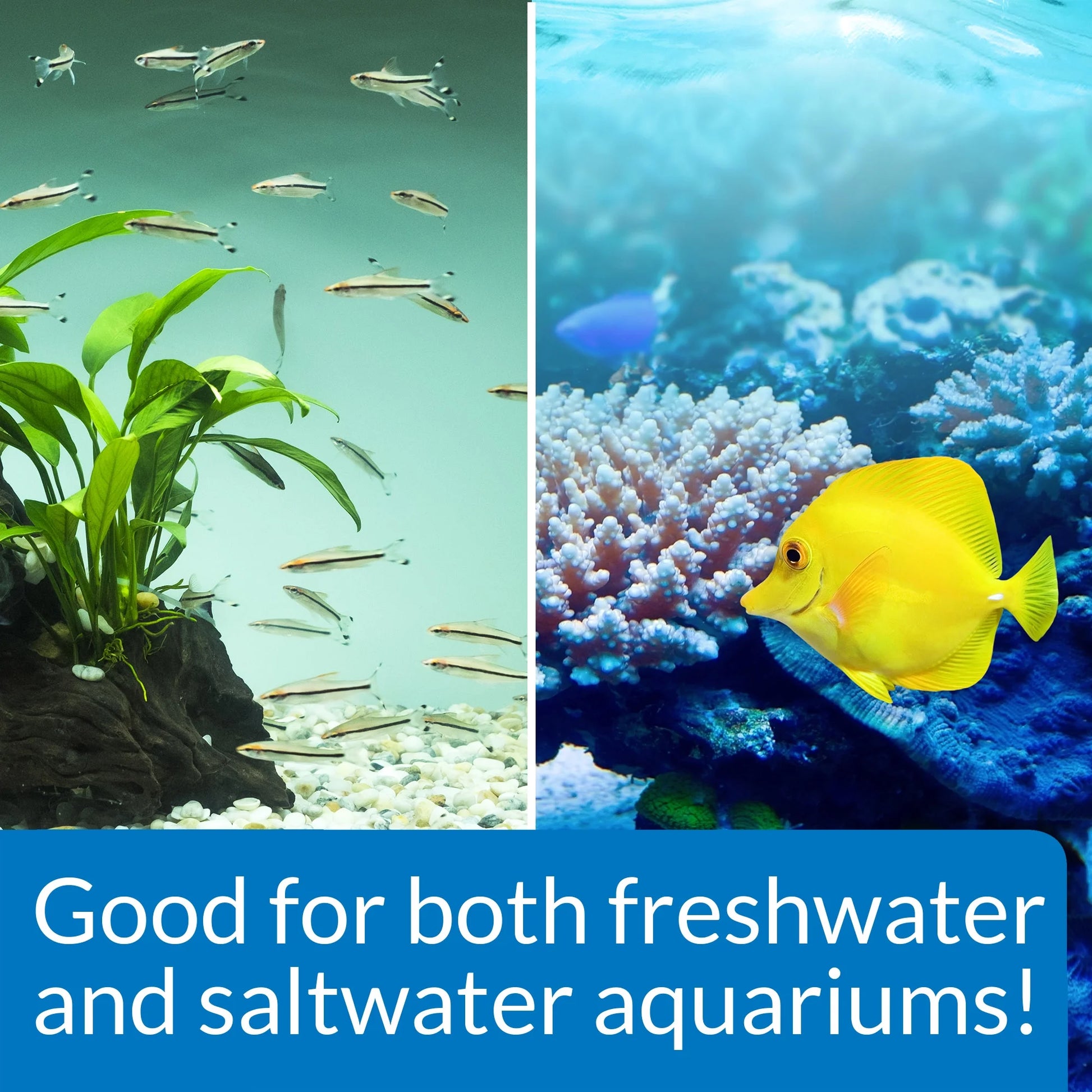 Stress Zyme, Freshwater and Saltwater Aquarium Cleaning Solution, 16 Oz