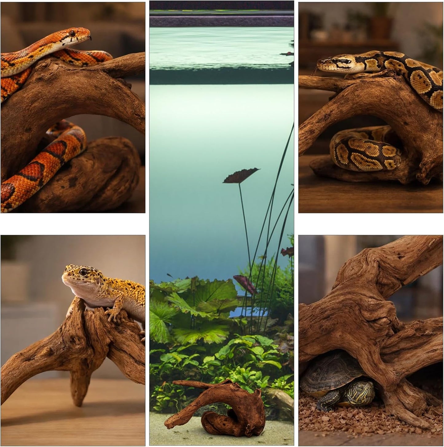 4PCS Driftwood for Aquarium, 1.96''-5.91'' Aquarium Driftwood, Fish Tank Driftwood, Ideal for Fish Tanks, Freshwater Aquariums, Terrariums（Random Style）