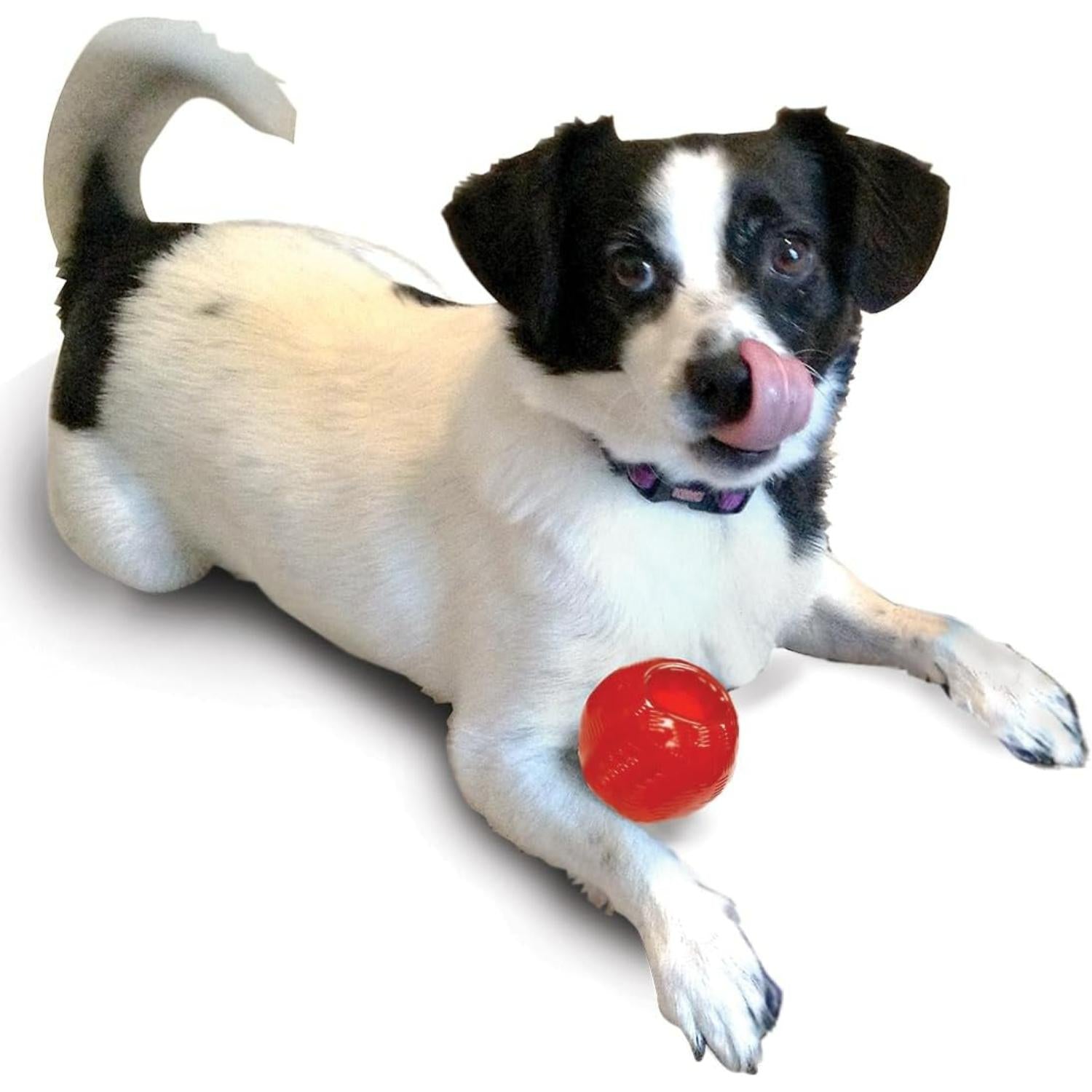 Play Strong Dog Ball Toys, TPR Treat-Hiding Durable Dog Ball for Aggressive Chewers, Small Dogs & Puppies, 2.5 Inch