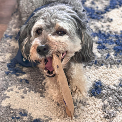 Dura-Fused Squirrel Dog Toy, Real Leather & Jute Fabric Toy for Moderate Chewers, Small & Medium Dogs, 8In