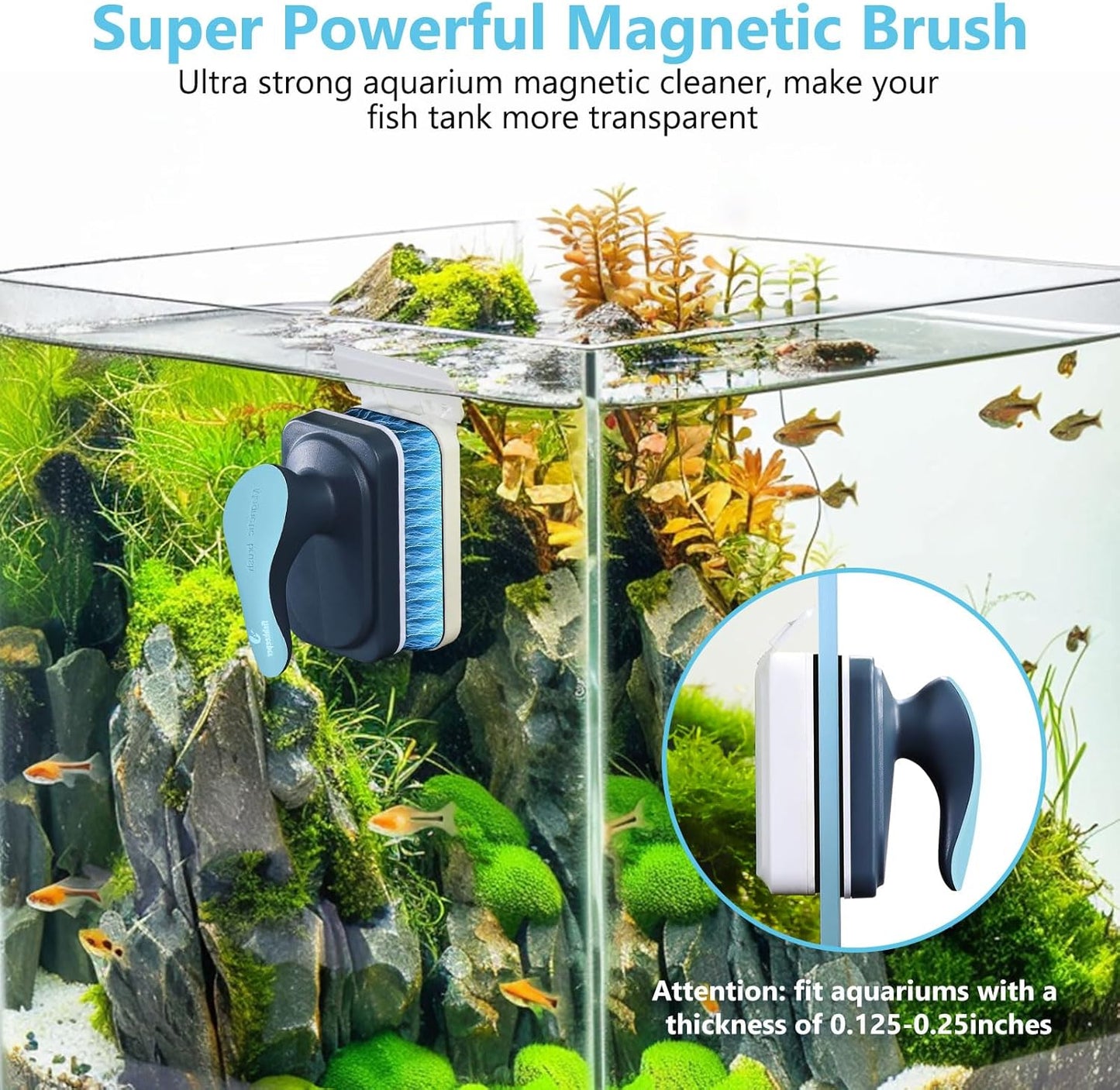 Aquarium Magnetic Glass Cleaner, Fish Tank Algae Cleaning Tool | Magnet with Algae Scraper for Glass Aquariums Tank, Floating Scrubber Brush, 2 Detachable Scrapers, Small