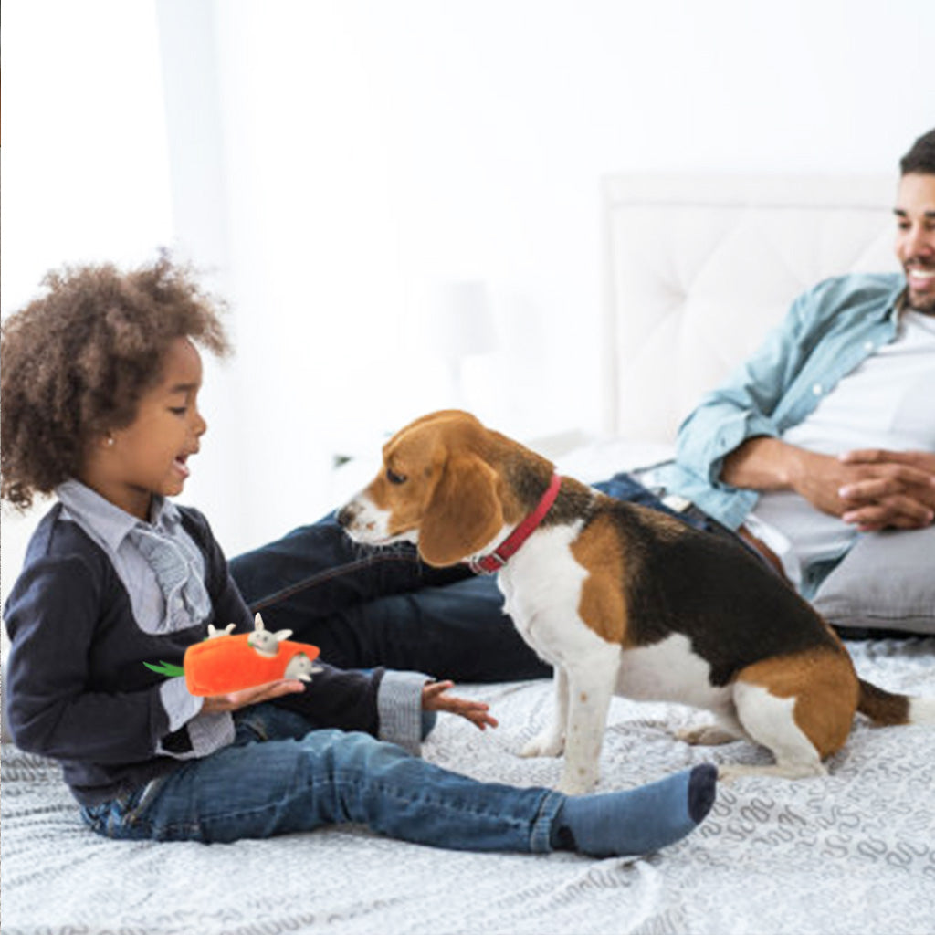 Easter Interactive Dog Toys，Hide and Seek Dog Squeaky Toys and Puppy Toys Puzzles, Rabbit