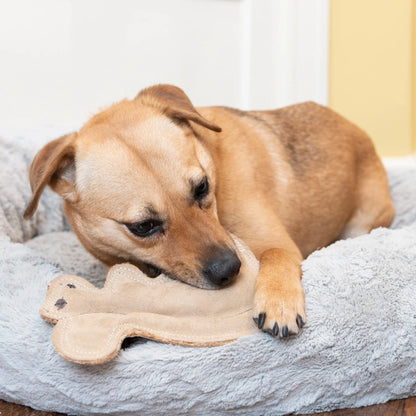 Dura-Fused Squirrel Dog Toy, Real Leather & Jute Fabric Toy for Moderate Chewers, Small & Medium Dogs, 8In