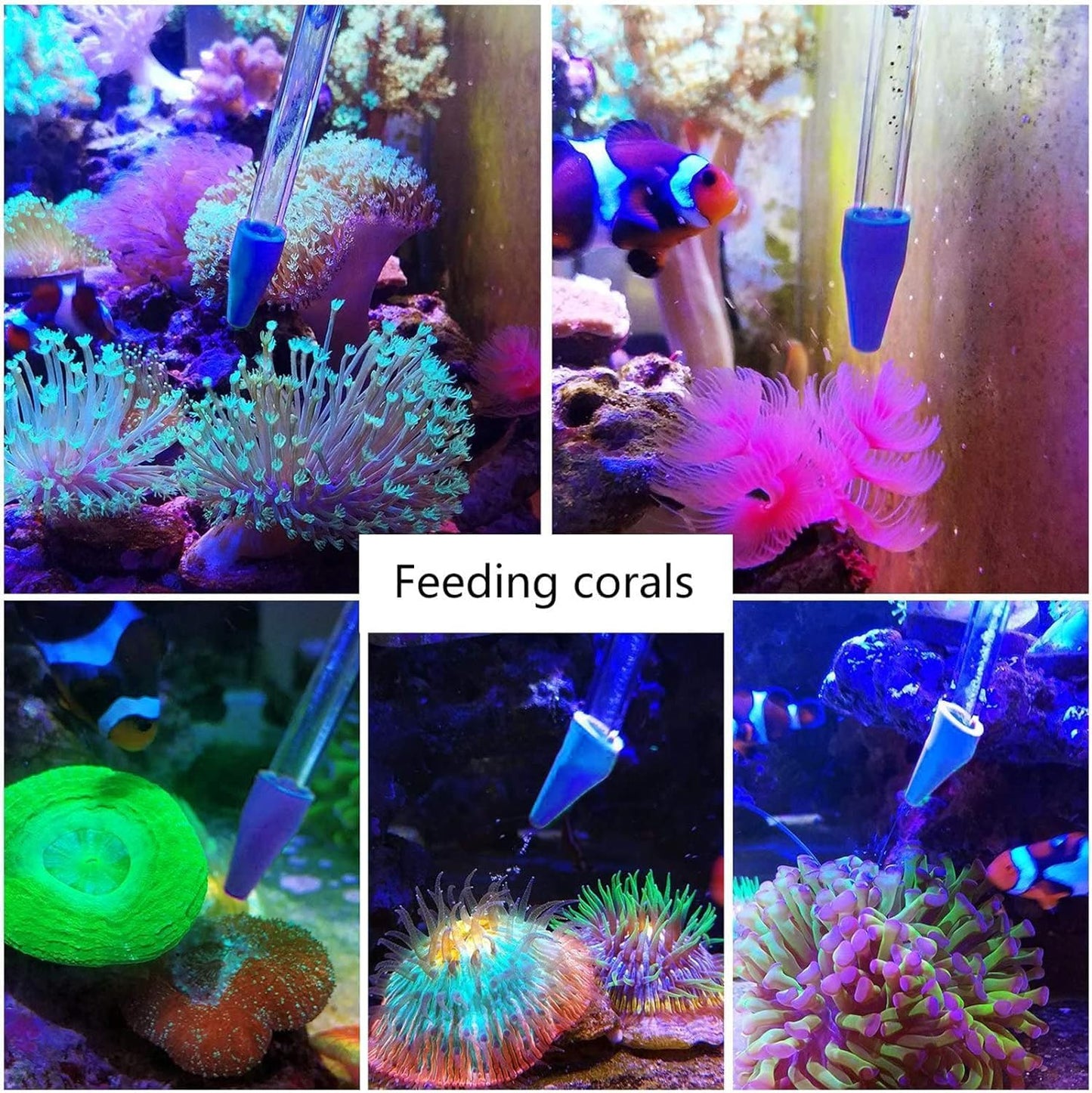 31.5Inch Long Corals Grabber,Reefs Feeders,Aquarium Veggie Feedting Tool,Aquarium Food Clip Feeding(Long Reef Grabber and Coral Feeder Kits(Anti-Rust)