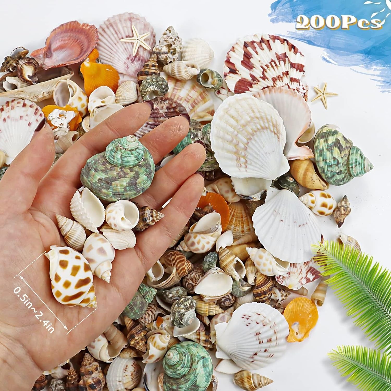 200+Pcs Sea Shells Bulk Mixed Ocean Beach Seashells, Various Sizes Natural Seashells Starfish for Fish Tank, Home Decorations, Beach Theme Party, Candle Making, Wedding Decor, DIY Crafts